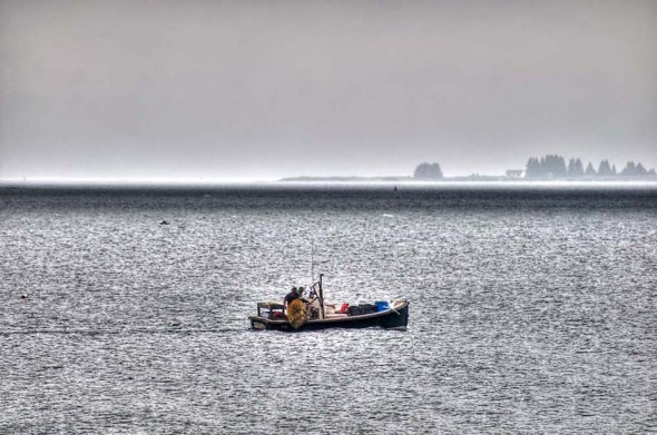 Brooklin-Lobstermen-morning-throwing-trap