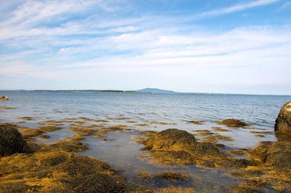 Cottage-beach-view-low-tide