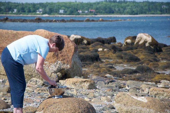 mom-examining-mussels